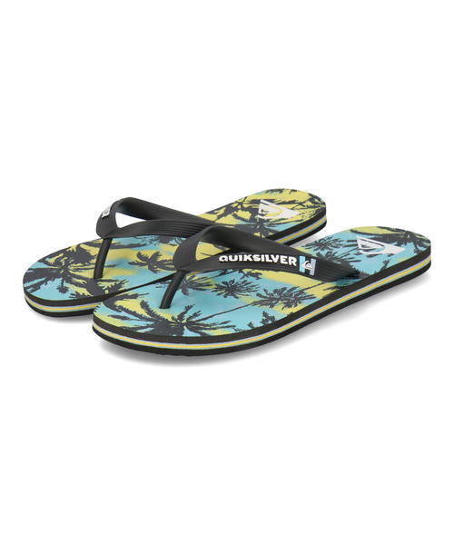 Molokai Art - Flip-Flops for Men