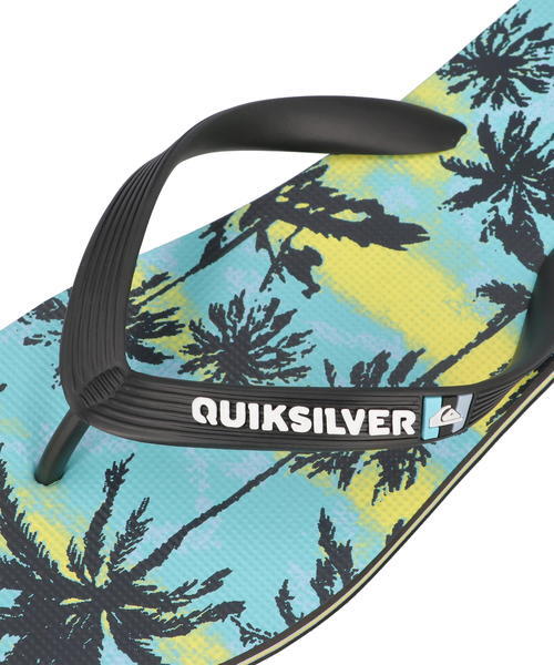 Molokai Art - Flip-Flops for Men