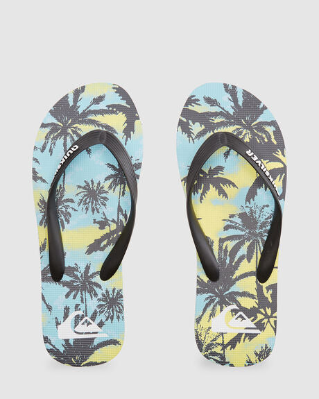 Molokai Art - Flip-Flops for Men