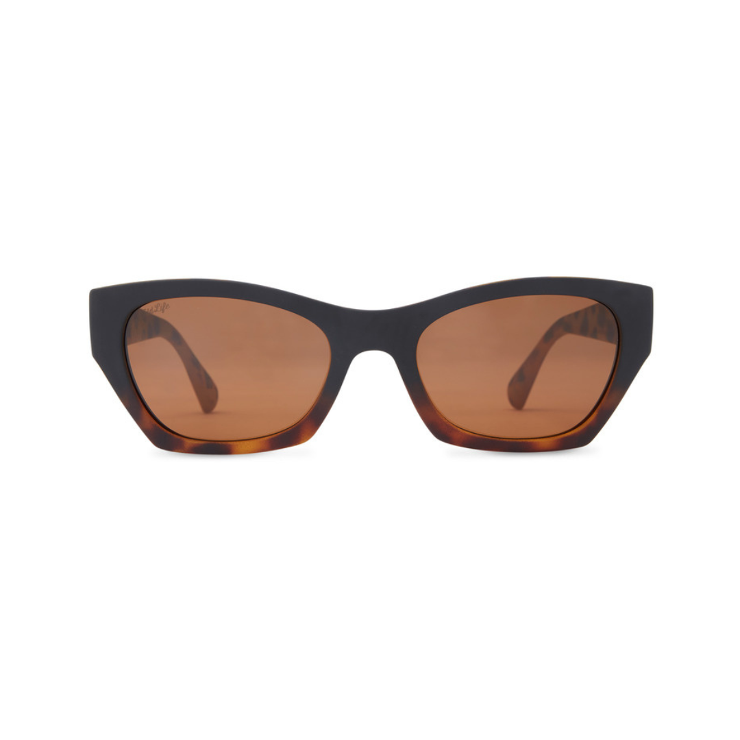 Stray Polarized Sunglasses - Brown/Tortoise